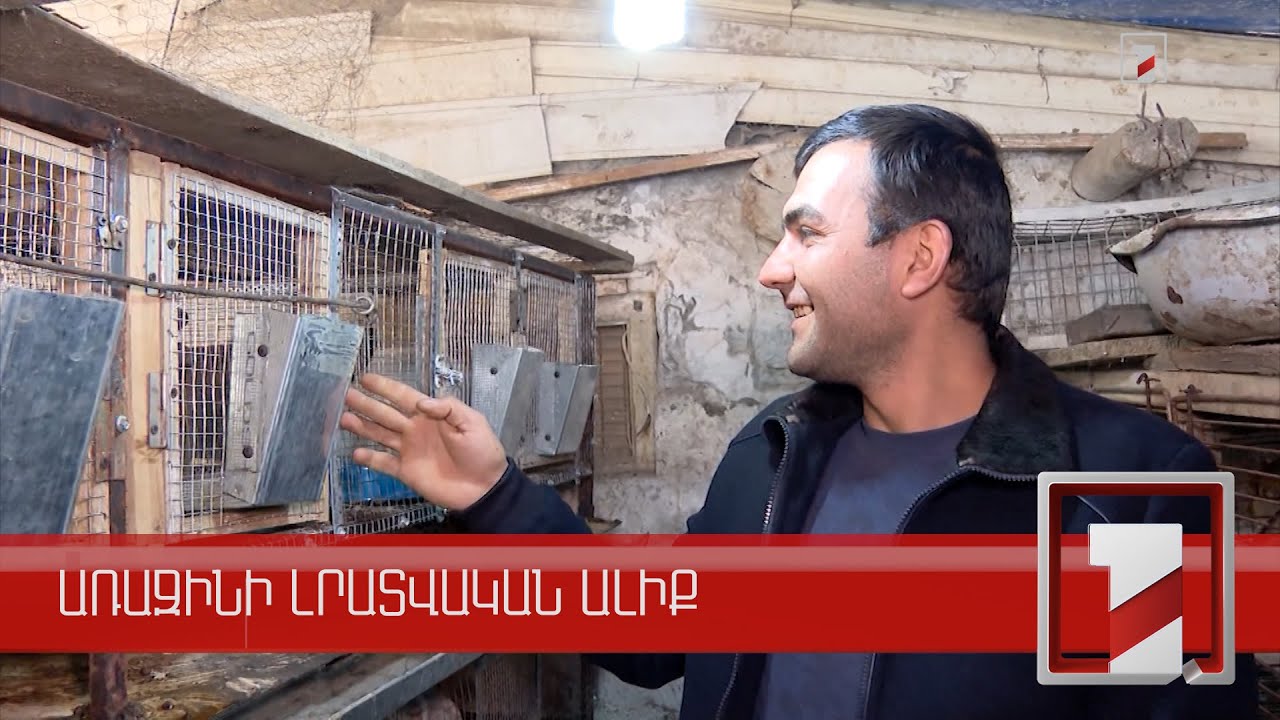 Բարության շղթան պետք է շարունակվի. վիրավոր տղաների նոր բիզնեսը