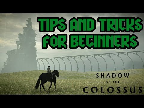 6 Tips and Tricks for Beginners | Shadow of the Colossus