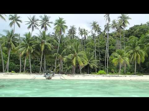 Sulawesi - Indonesia