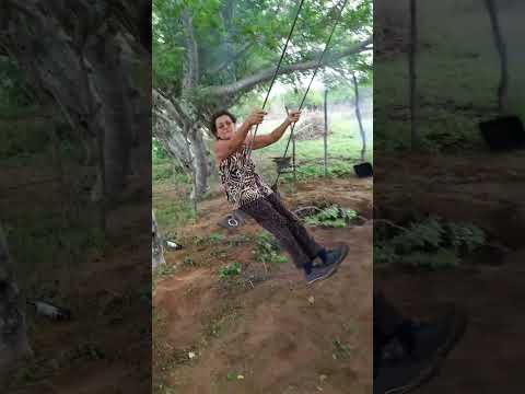 #paraiba sítio areial