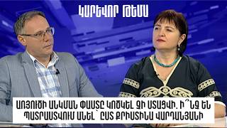 Առյուծի անկման փաստը կոծկել չի ստացվի. ի՞նչ են պատրաստվում անել` ըստ Քրիստինա Վարդանյանի