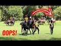 Rider Looses RUN AWAY Horse As It ESCAPES Into Public Park