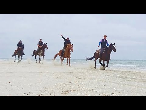 Wanderreiten am Schwarzen Meer - Teil 5 (2017)