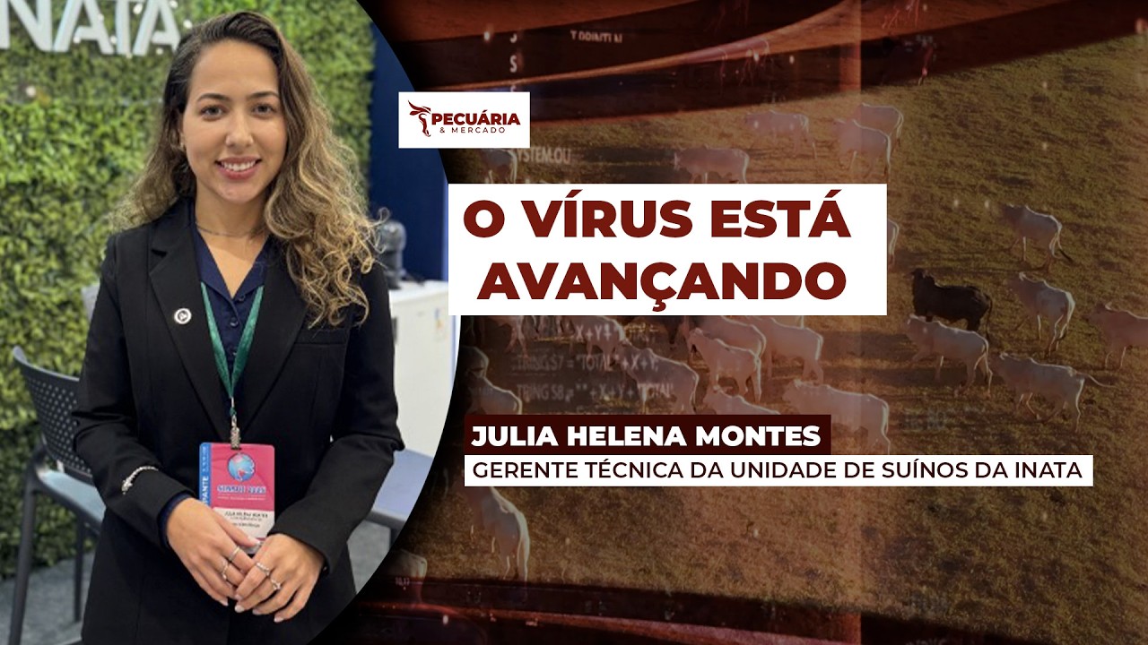 Rotavírus C pode estar por trás de surtos de diarreia neonatal nas granjas