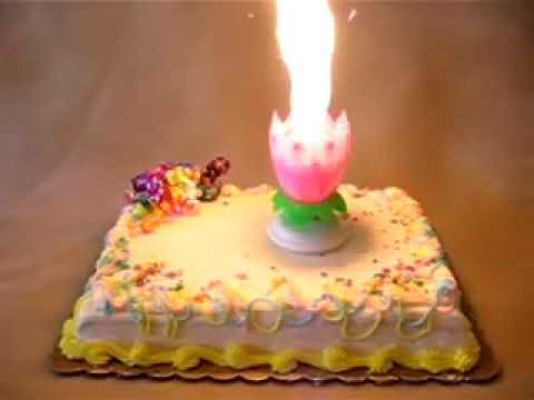 Happy birthday with Ronit