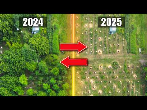 THIS Forced me to Cut Down my Permaculture Orchard - I MESSED UP