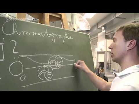 Kreidezeit 74: Chromatographie