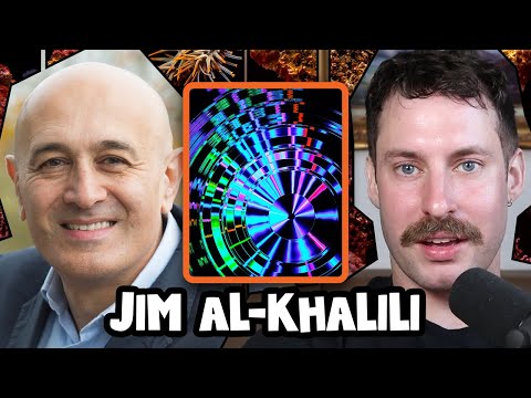 What Is Quantum Decoherence? | Jim Al-Khalili