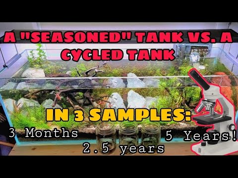 What is A SEASONED Tank VS. A CYCLED Aquarium: Time, Diversity & Micro Organisms Under A Microscope