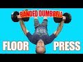 (CHEST) Banded Dumbbell Floor Presses! Another chest alternative for those with shoulder pains!
