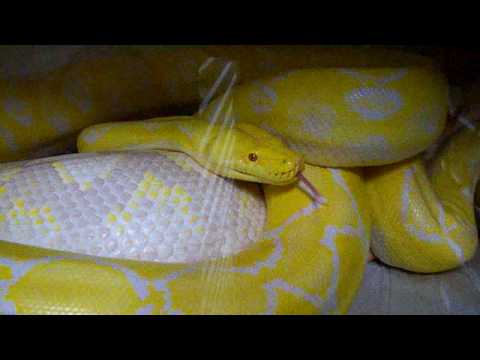 YouTube Video pzuqe_3Igq0