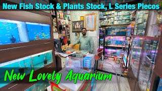 Aquarium fish stock and Aquatic Plants at New Lovely Aquarium Store