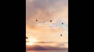 Download lagu Story wa || AgamaMu dihina || Buya Hamka mp3