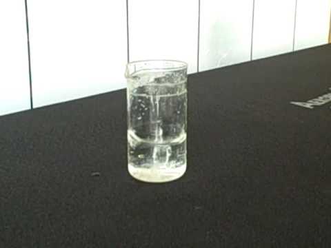 Bio-Oscillation. The only true vertical motion