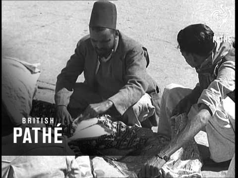 Hyderabad Has Still To Settle Its Future (1947)