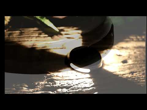 Video: Product Video