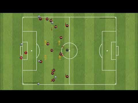 TREINO TÉCNICO TÁTICO