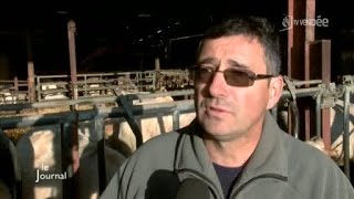 Solidarité Paysan : Soutien aux agriculteurs en difficulté