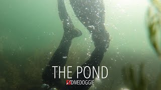 Scuba Diving: The Pond