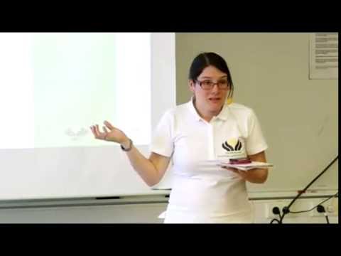 Almedalen 2015 - Presentation av projekten Din Rätt och Rollkoll