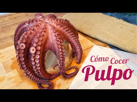 HOW TO COOK FROZEN OR FRESH OCTOPUS SO THAT IT IS TENDER 🐙 Easy Recipe
