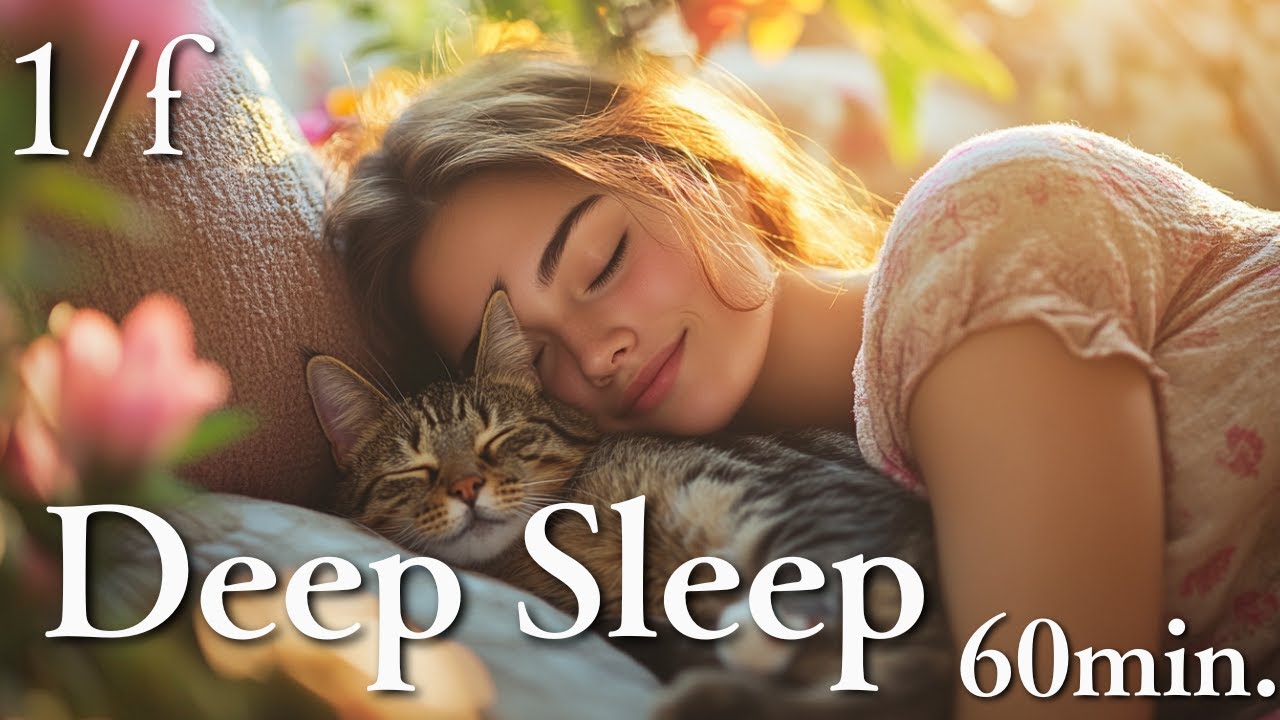 Deep Sleep with Your Beloved Cat