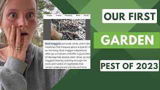 First Garden Pest of 2023 | & it