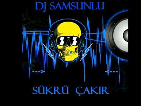 Dj SamsunLu - Give Me Everythink (Elektro mix).wmv