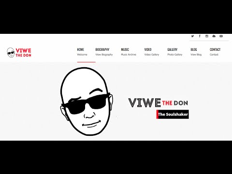 Viwe The Don Promo