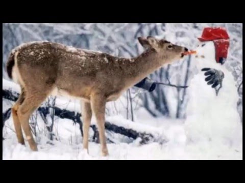 Erich Wolfgang Korngold "Der Schneemann" Ballett-Suite