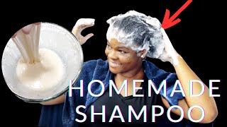 How To Make 100% Chemical-Free Shampoo at Home | Natural Shampoo Recipe