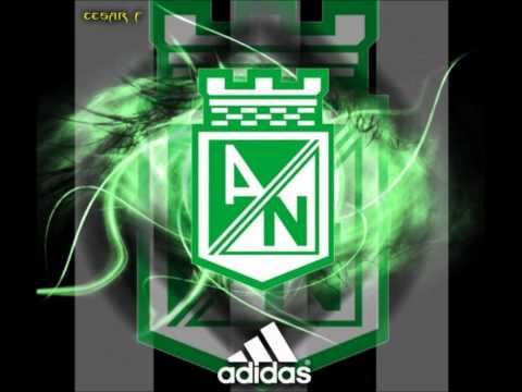 TENGO LA CAMISA VERDE♥