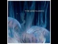 The Azoic - The One (lyrics)