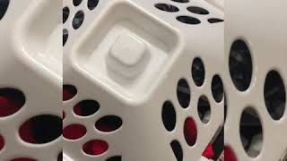 Download lagu Waktunya kerja Apapun kerjaan gosek WC,Masak Aku Harus gerak cepat dsb.tapi hasil rapi bersih 💞 mp3 Download lagu Waktunya kerja Apapun kerjaan gosek WC,Masak Aku Harus gerak cepat dsb.tapi hasil rapi bersih 💞 mp3