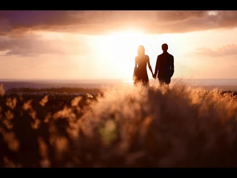 Đoạn đường trăm năm - Hồng Tước