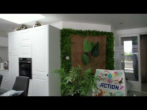 5,4 K test Drone DJI 0320