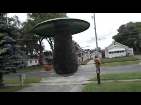 Green Mushroom Bird Feeder