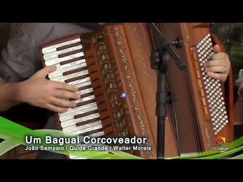Um Bagual Corcoveador - João Luiz Corrêa & Grupo Campeirismo (Programa A Voz da Tradição)