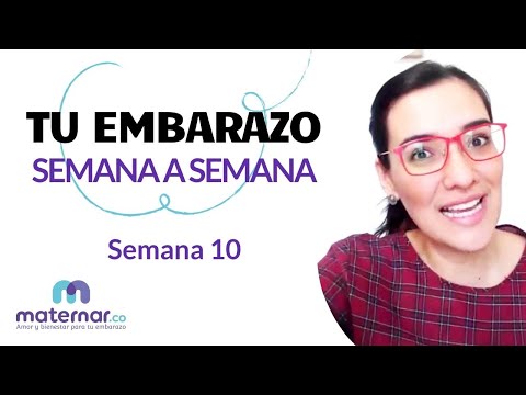 Semana 10 | Tu embarazo semana a semana | Maternar.co