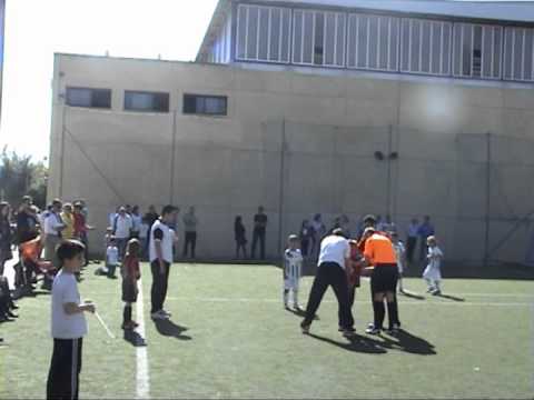 resumen fundacion ccf - séneca.avi