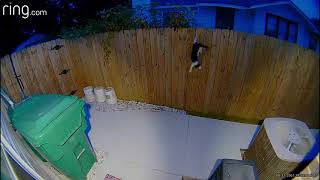 [問卦] 貓貓484太機車