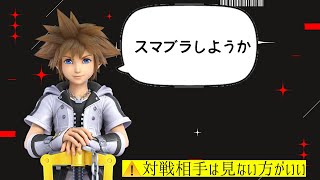 【スマブラSP】がちちょっとだけ