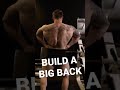 4 Exercises to Build a BIG BACK