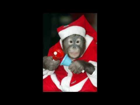 Losza Vera - White Christmas