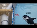 Polar bear vs. orca!- by Cintron Productions
