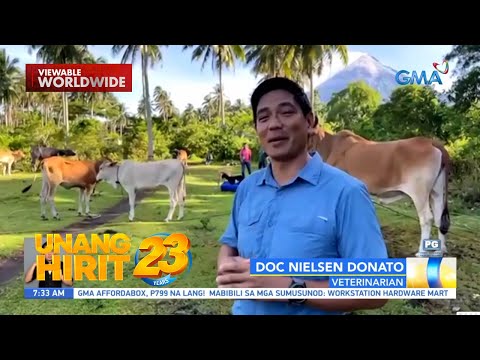 Doc Nielsen Donato, to the rescue sa mga hayop sa Albay Unang Hirit