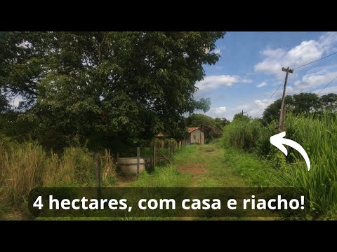 Oferta! Chácara de 4 hectares, com casa e riacho, por R$ 220 mil, em Vila Boa, Goiás! 