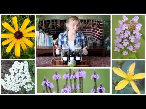 5 medicinal wildflowers & making herbal remedies with them!