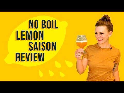 No Boil Lemon Saison Homebrew Review