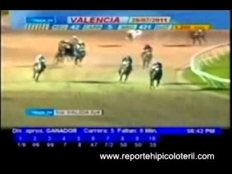 Resumen Jueves 28 de Julio de 2011 - Valencia